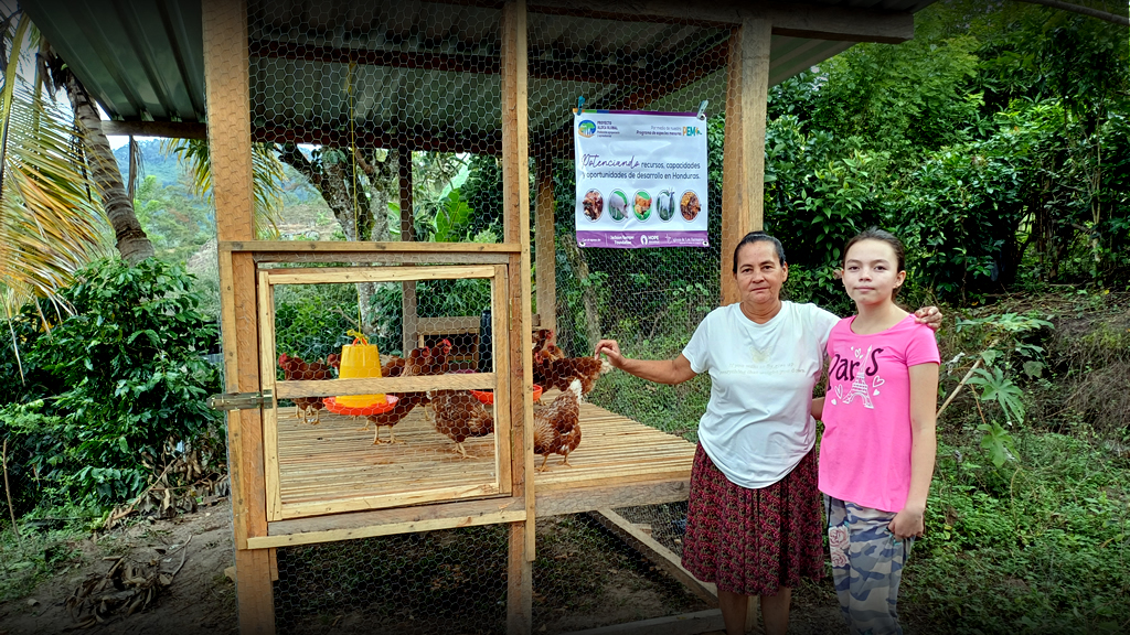 Income Generating Projects