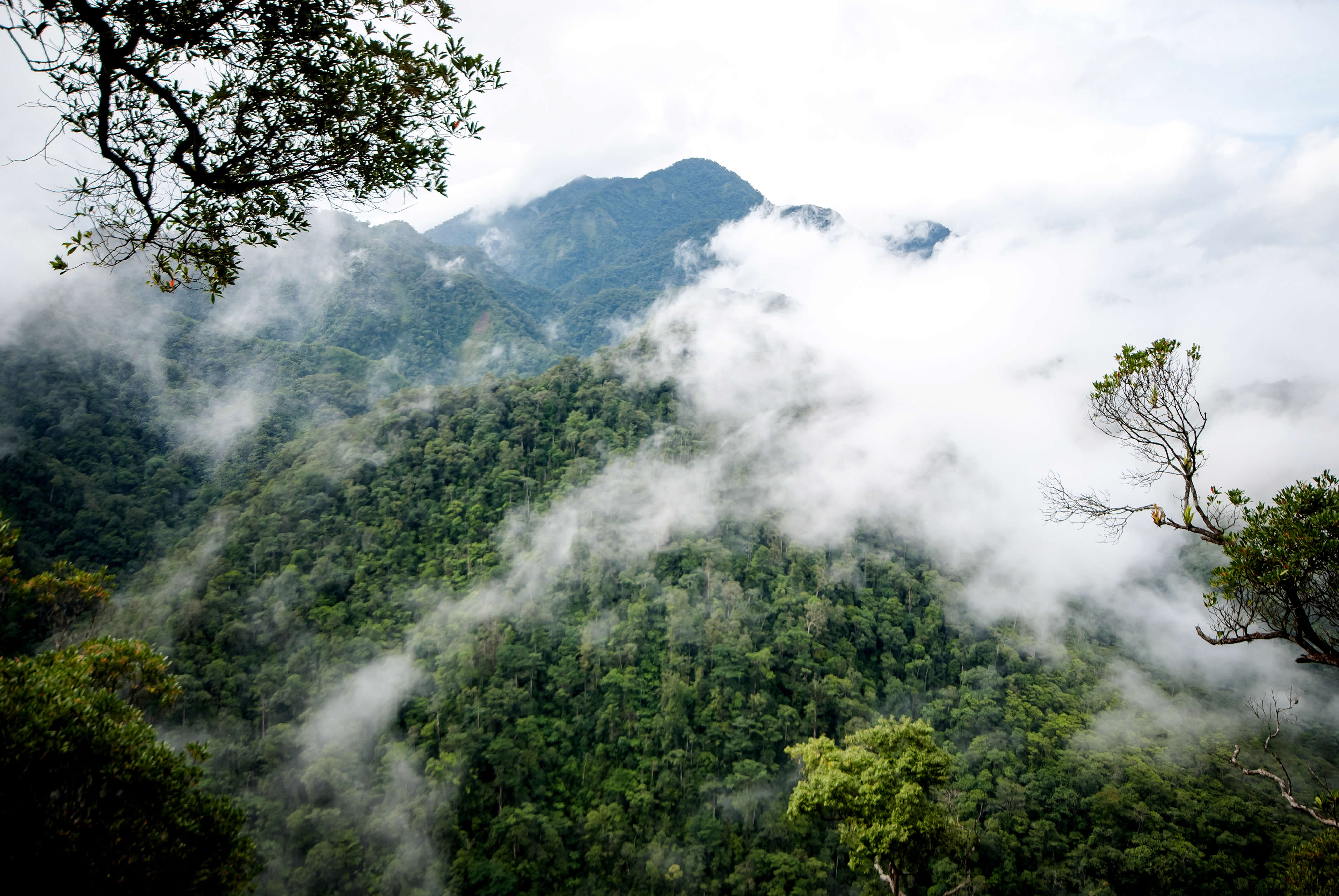 Management of Natural Resources & Environmental Protection